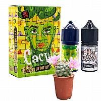 Набор In Bottle Cactus