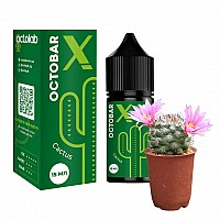 Набор Octobar X Cactus